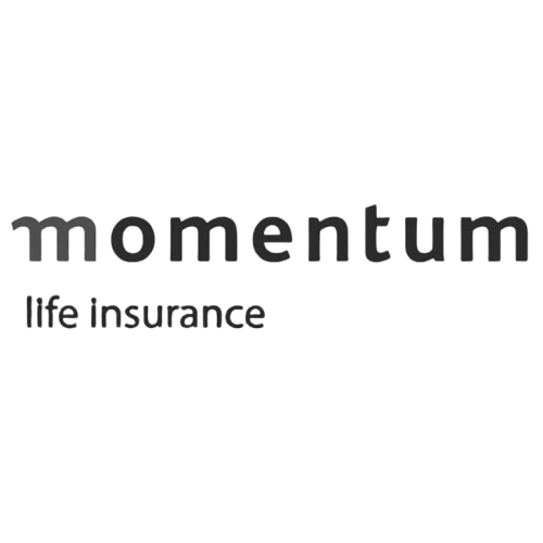 Momentum